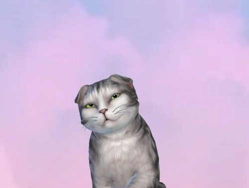 Head in the clouds CAS Background by simslyswift at Mod The Sims