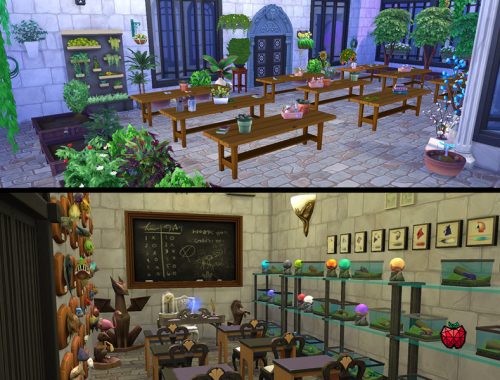 HERA school of magic - (no cc)