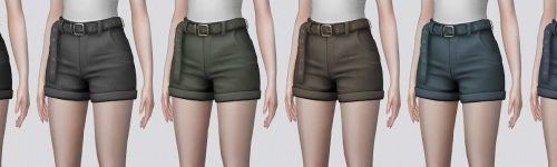 High Waisted Shorts at Darte77