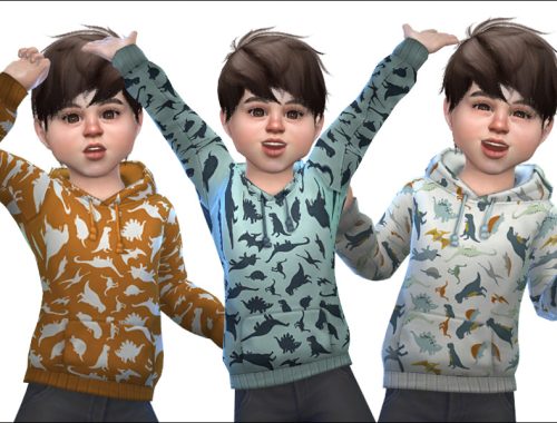 Hoodie for Toddler Boys 01