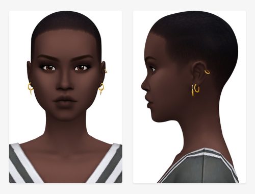 Hoops & Leaves Earrings V2
