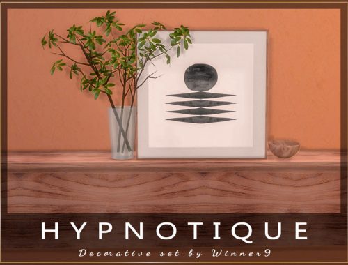 Hypnotique Living Room Decorations