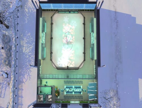 Ice Skating Cafe