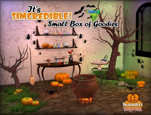 Incantatrix - Small Box of goodies #8
