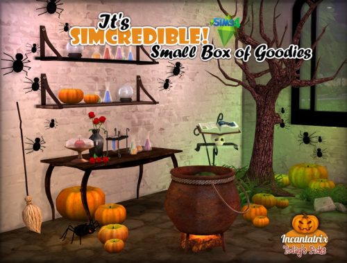 Incantatrix - Small Box of goodies #8