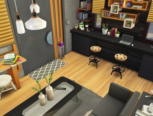 INDUSTRIAL ECO LOFT at Aveline Sims