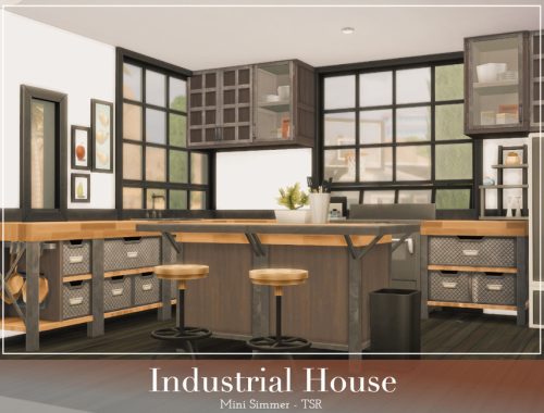 Industrial House