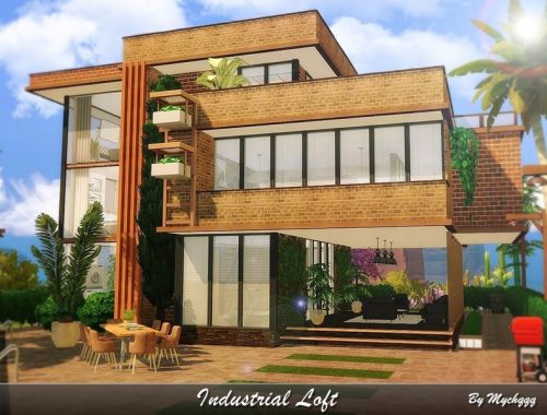 Industrial Loft