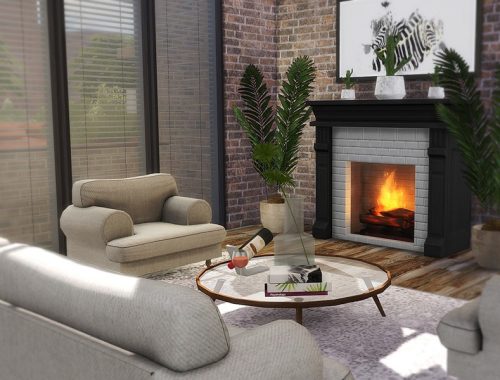 Industrial Loft