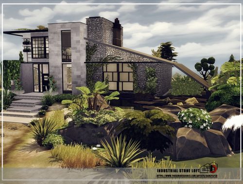 Industrial stone Loft