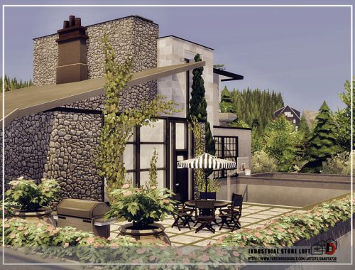 Industrial stone Loft