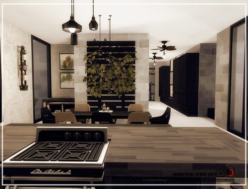 Industrial stone Loft