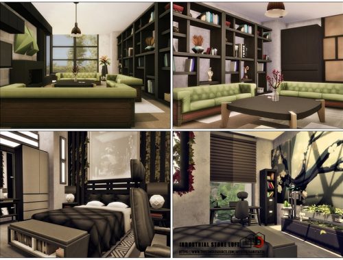 Industrial stone Loft