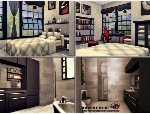 Industrial stone Loft