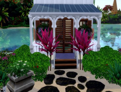 Island Paradise starter