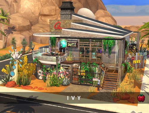Ivy nightclub - no cc