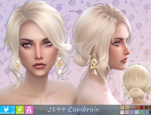 J199 Cambrain hair (P) at Newsea Sims 4