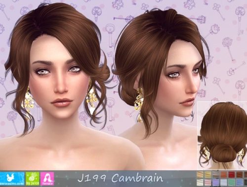 J199 Cambrain hair (P) at Newsea Sims 4