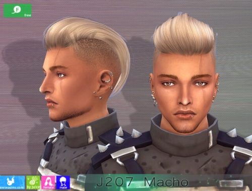 J208 Macho hair M&F at Newsea Sims 4