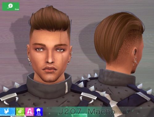 J208 Macho hair M&F at Newsea Sims 4