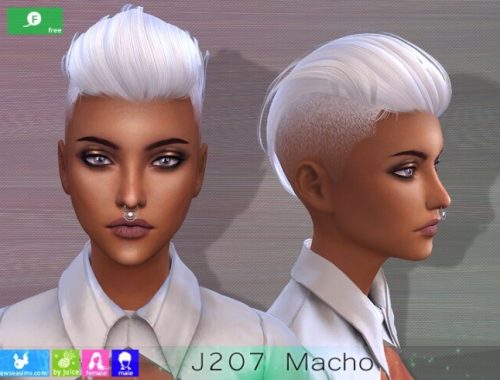 J208 Macho hair M&F at Newsea Sims 4