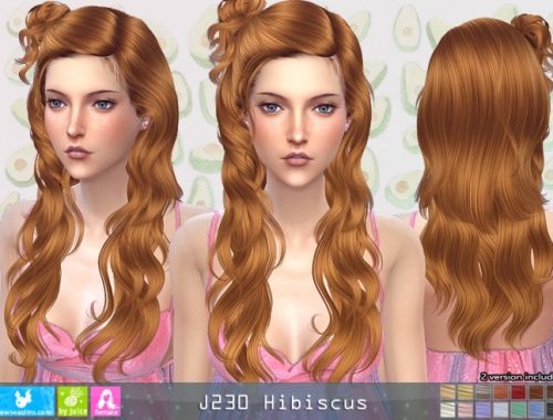 J230 Hibiscus hair (P) at Newsea Sims 4