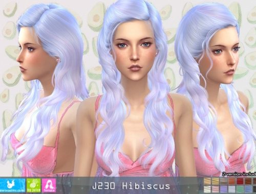 J230 Hibiscus hair (P) at Newsea Sims 4