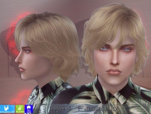 J244 Pinocchio hair (P) at Newsea Sims 4