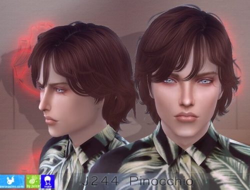 J244 Pinocchio hair (P) at Newsea Sims 4