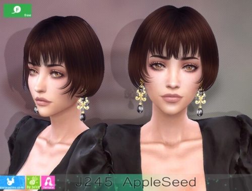 J245 AppleSeed hair at Newsea Sims 4