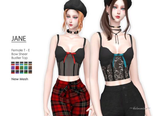 JANE - Sheer Top