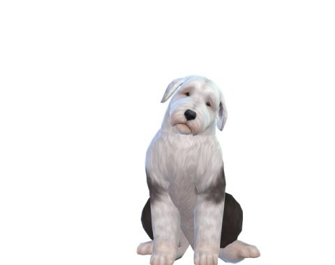 Jansen family by Blackbeauty583 at Beauty Sims