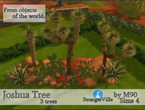 Joshua Tree - REQUIRES STRANGERVILLE