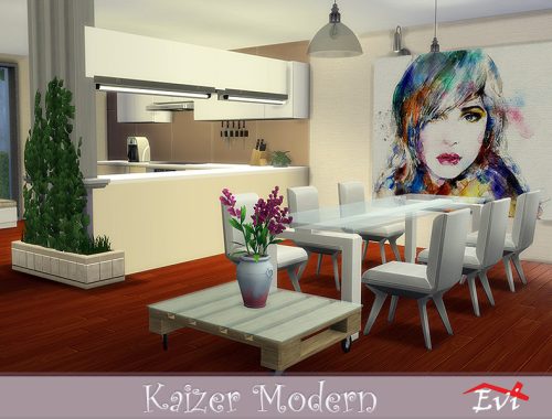 kaizer modern