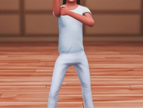 Karate Kid Pose Pack at Katverse