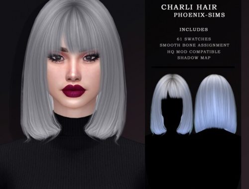 KARLI & CHARLI HAIRS at Phoenix-Sims