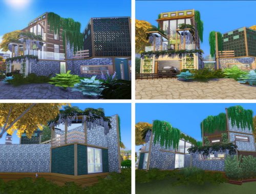 Kiwi Loft
