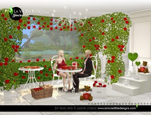 La vie en rose extras