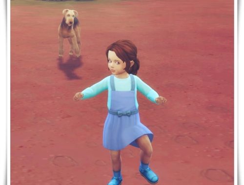 Lacey Hair Toddler version at Birksches Sims Blog