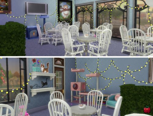 Lady Purr Purr - Cat Cafe - NO CC