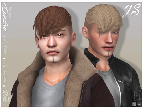 Landon (Hairstyle)