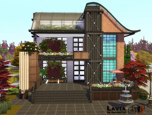 Lavia