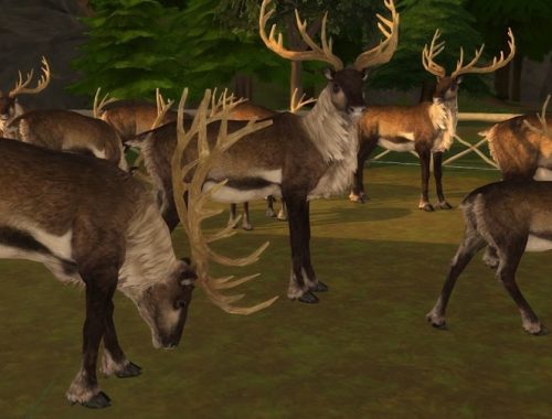 Lávvu Issát at KyriaT’s Sims 4 World