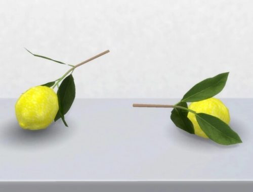 Lemon mini set by Pocci at Garden Breeze Sims 4