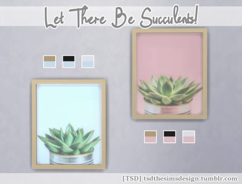 Let there be Succulents!