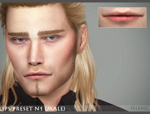 Lips Preset N1 (male)