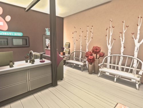 Little Paws Vet Clinic - No CC -