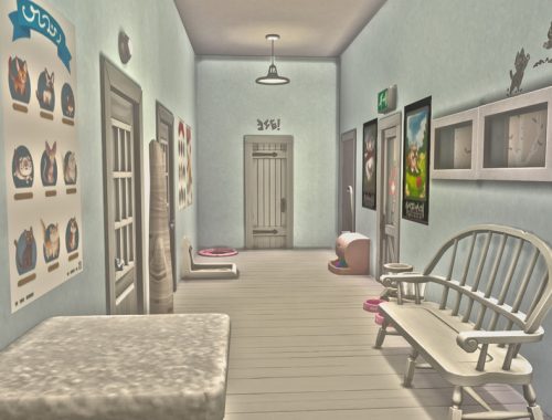 Little Paws Vet Clinic - No CC -