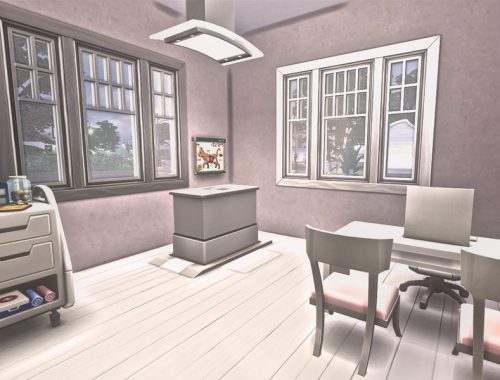 Little Paws Vet Clinic - No CC -
