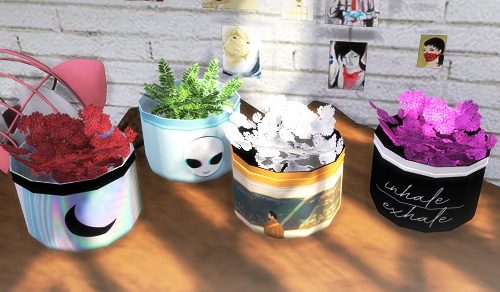 Little Plants at Descargas Sims